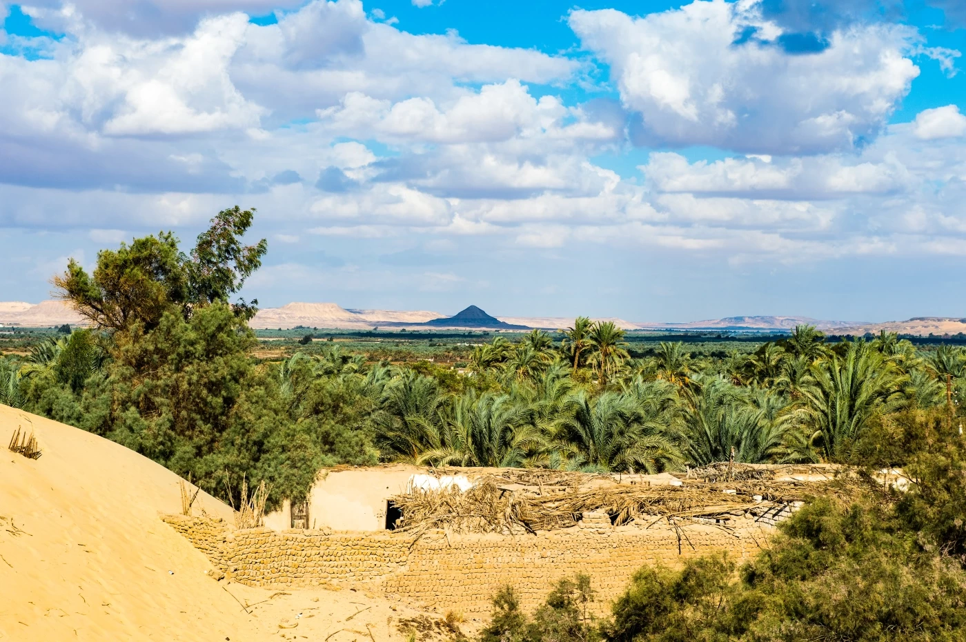 Bahariya Oasis and White Desert Tour from Cairo